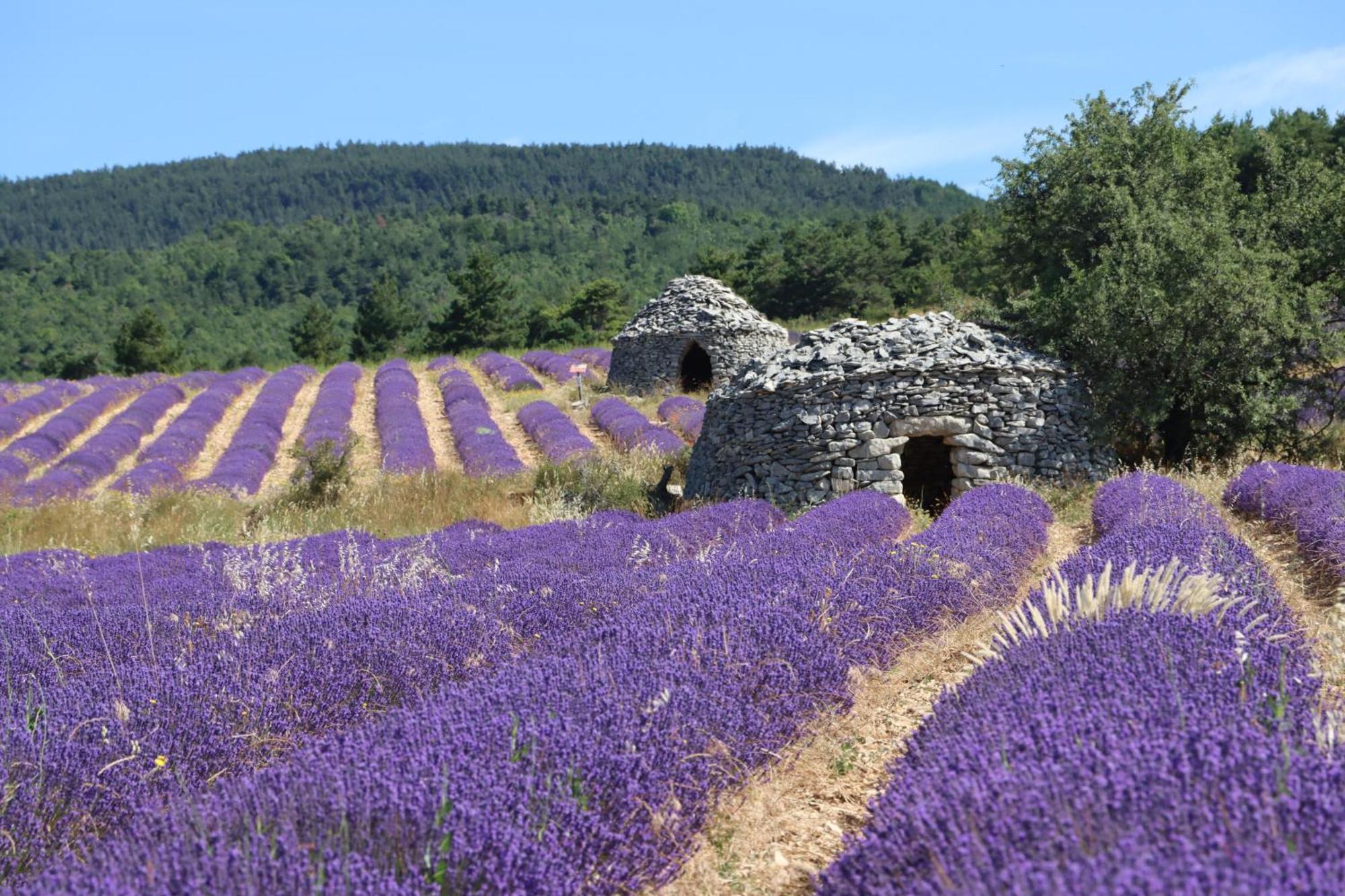 Studio Dans Le Luberon Céreste Exterior foto